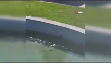 Bursa'da yürekleri ısıtan görüntüler!