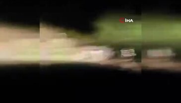 Bir ilimiz diken üstünde! En tehlikeli hayvanlar arasında yer alıyor