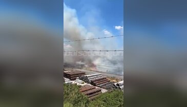 Bursa'da otluk alandan bir anda alevler yükseldi! İtfaiyeden hızlı müdahale...