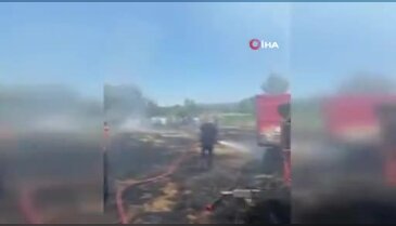 Anız alevi 20 dönümü küle çevirdi
