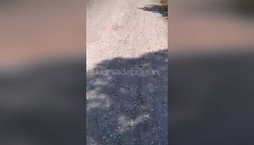 Bursa'da tamir sırasında korkutan yangın! Vinç ve biçerdöver alevlere teslim oldu...