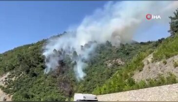 Bursa'da yangın ormanlık alana sıçradı! Alevler villalara doğru ilerliyor...