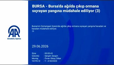 Bursa'da yangın ormanlık alana sıçradı! Alevler villalara doğru ilerliyor...