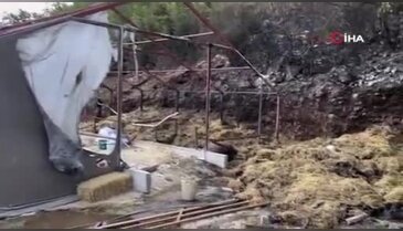 Bursa'daki orman yangını ile ilgili flaş gelişme! 1 kişi gözaltına alındı...
