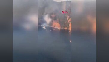 İstanbul Büyükada'da yangın paniği!
