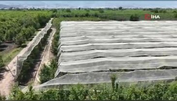 Bursalılar geçen yıldan ders çıkardı! Maliyeti 200 bin lirayı buluyor...