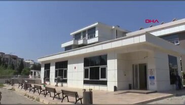 İzmir'de ayı dehşeti! Balkonda uyurken canını aldı