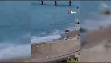 Karadeniz'i peş peşe alarma geçiren olay! Bu kez adres Zonguldak