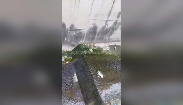 Bursa'nın tam ortasında görenleri üzen manzara! Dere çöplerle doldu