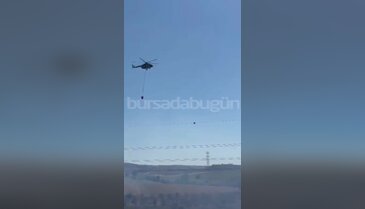 Bursa'da Orman Yangını! Havadan müdahale başladı...