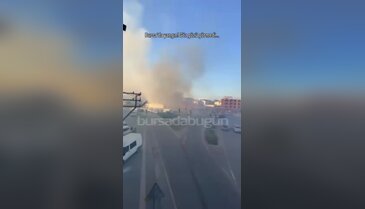 Bursa'da tarlada yangın! Dumandan göz gözü görmedi...