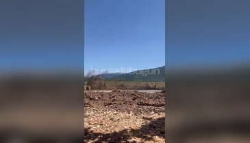 Bursa'da korkutan yangın! Alevler rüzgarın etkisiyle hızla yayıldı...
