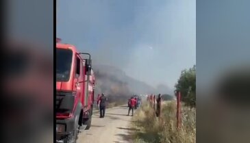 İznik'te korkutan yangın! Ormana sıçramaması için havadan karadan müdahale...