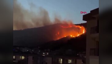 İzmir'de otluk alanda yangın çıktı! Ekiplerin müdahalesi sürüyor...