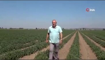 Bursa'da 'bugün, yarın' diyerek 20 milyon TL zarara soktular! Kulaklara küpe olacak uyarı