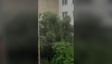 Bursa'da gökyüzü bir anda karardı! 'Squall Line' kente ulaştı