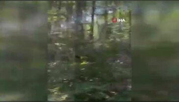 Bursa'da bir orman yangını daha! Bu kez farklı noktada alevler yükseldi