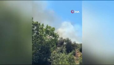 Kestel'de orman yangını