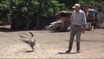 Bursa'da gören dönüp bir daha bakıyor! Ölmek üzereyken kurtardı, 10 yıldır peşinden bir an ayrılmıyor...