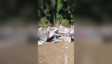 Bursa'da ormanlık alanı çöplüğe çevirdiler! Vatandaşlar yetkililere seslendi