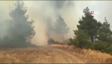Bursa'da korkutan yangın söndürüldü! Soğutma çalışmaları sürüyor...
