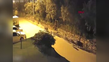 Bursa'da gece yarısı şoke eden görüntü! Mahalleyi bir anda sardılar
