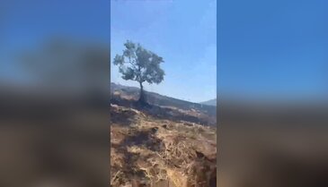 Bursa'da anız yangını faciaya dönüşecekti! Son anda önlendi
