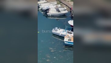 Bursa'da molozlar limanı kapladı, vatandaşlar isyan etti!