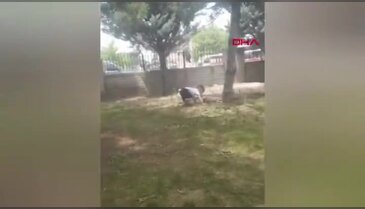 Bursa'da 3,5 yaşındaki Miraç'ın yaşam mücadelesi! Önce yürümeyi, sonra konuşmayı kaybetti