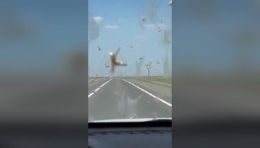 Görüntüler İstanbul'un yanı başından! Her yeri istila ettiler
