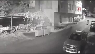 Rize'de çöp konteyneri yanında karşılaştığı anne ayı peşine düştü! O anlar kamerada