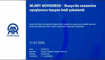 İlginç görüntüler! Cezaevine uyuşturucu taşıyan kedi yakalandı...