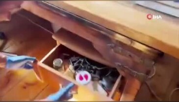 Ünlü yönetmenin Bursa'daki evinden çıkanlar şaşkına çevirdi! Odalar tarlaya dönmüş...