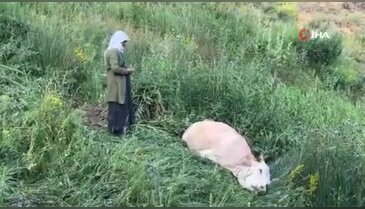 Tek dayanağıydı... Uçurumun kenarında gözyaşlarına boğulan anne herkesi üzdü!