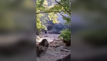 Bursa'nın gözde köyünde tepki çeken görüntüler: Yasağa rağmen dinlemediler!