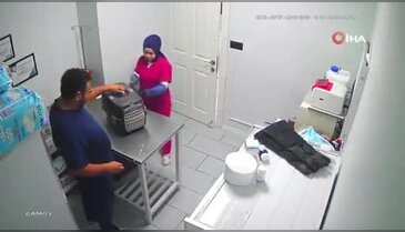Bursa'da hareketleriyle şaşkına çevirdi! "Balıklama atladı, ışığa girdi"