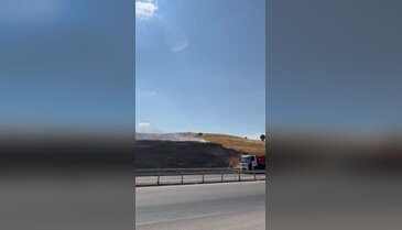 Bursa'da ayçiçeği tarlasında yangın! Ekipler seferber oldu