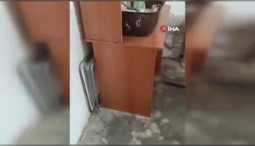 Evin yatak odasına giren 2 metrelik yılan böyle çığlık attırdı