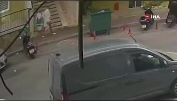 Alanya'da kediyi yere fırlatan çocuk kamerada! Görüntüler tepki topladı