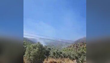 Bursa'da orman yangını paniği! Alevlere havadan ve karadan müdahale...