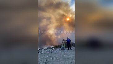 Bursa'da bir yangın daha! Ormanlık alan sıçramadan söndürüldü...