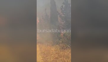 Bursa'daki yangında alevler böyle harladı: 'Aman Allah'ım...'