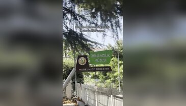 Bursa'da saklı hazine! Türkiye'de bir ilk olma özelliğini taşıyor
