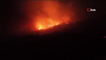 Aydın'daki orman yangınında kritik gece! Alevler mahallelere kadar ulaştı