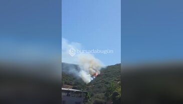 Bursa'da orman yangını başladı! Ekipler olay yerinde...