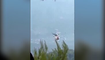 Yangın söndürme helikopterleri havada çarpıştı! Kameralar kaydetti...