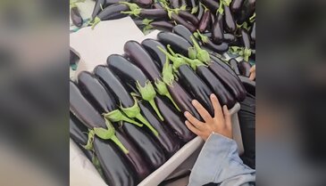 Üreticinin kazanamadığı ürün markette pahalıya satılıyor! Fiyat farkı şaşırttı...