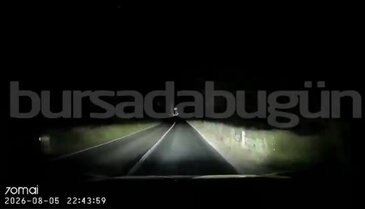 Bursa'da otomobil domuza çarptı! Kaza anı kamerada...