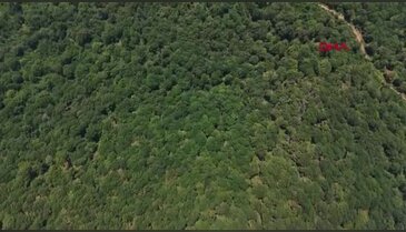 Bursa'da 17 yıldır yeşil vatan nöbeti! Aynı kulede hem ailelerini hem ormanları büyüttüler
