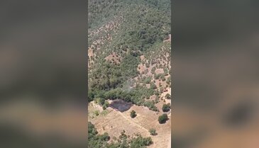 Bursa'da orman yangını paniği! Helikopterler peş peşe havalandı